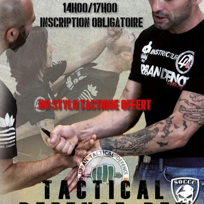 Affiche stage TDP