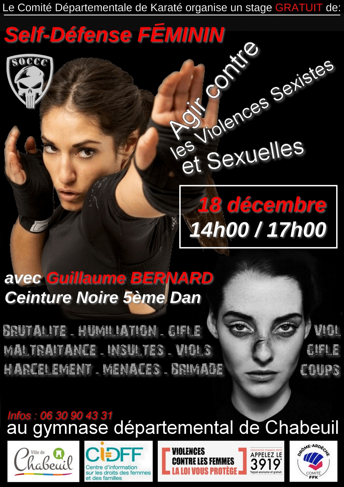 Stage lutte violences sexistes et sexuelles 3