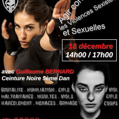 Stage lutte violences sexistes et sexuelles 3